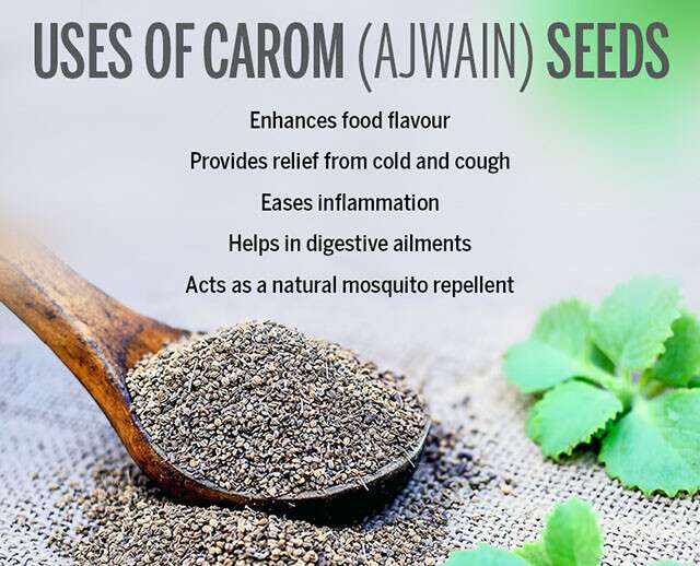 Indians Call Ajwain Leaves The Thousand Utility Leaf ...
