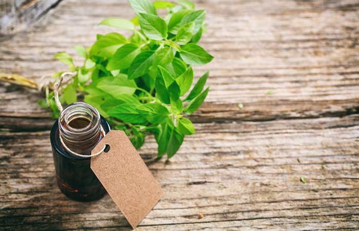 Holy Basil Essential Oil