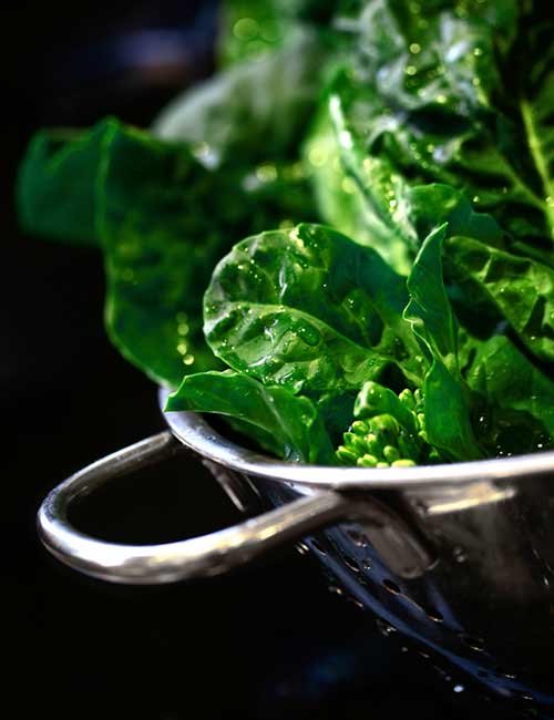 Dark Leafy Greens Food