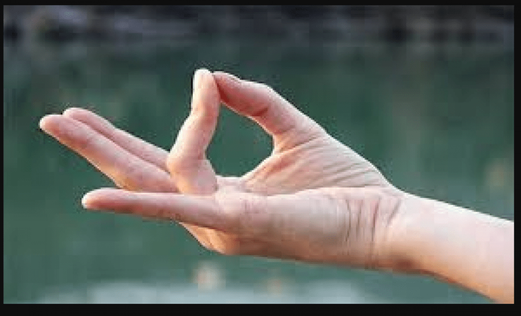 Surya Mudra