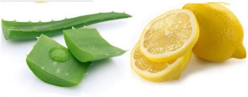 Aloe Vera And Lemon 1
