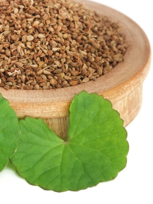 [:en]cropped-hidden-benefits-of-ajwain.jpg[:]