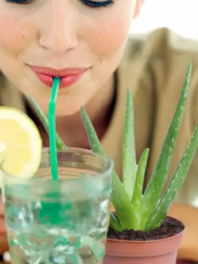 [:en]cropped-various-benefits-of-aloe-vera.jpg[:]