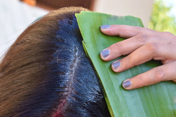 Aloe Vera For Itchy Scalp Treatment